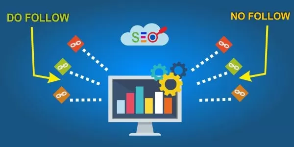 A Guide to SEO and Link Building